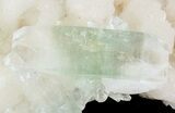 Zoned Double Terminated Apophyllite Crystal on Stilbite - India #44346-1